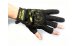 HITFISH Glove-02 .   . L -  -    - thumb