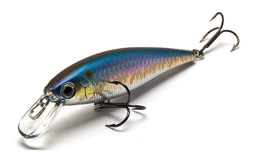  Lucky Craft Pointer 65 SP_270 MS American Shad -  -   