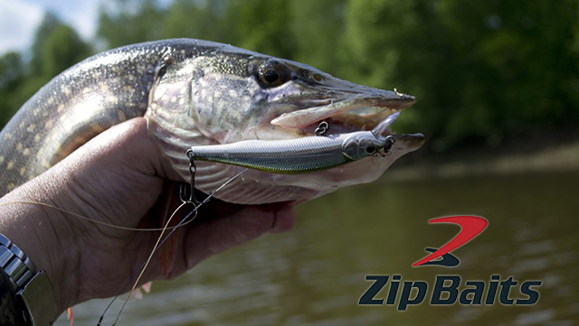 zipbaits.jpg zipbaits.jpg
