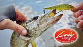 banner-280.jpg banner-280.jpg