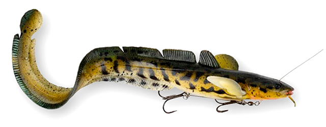 3d-burbot-640.jpg 3d-burbot-640.jpg