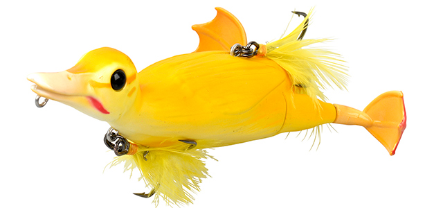 3d-suicide-duck-640.jpg 3d-suicide-duck-640.jpg
