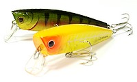 Classical Minnow -  -    