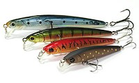 Flash Minnow -  -    