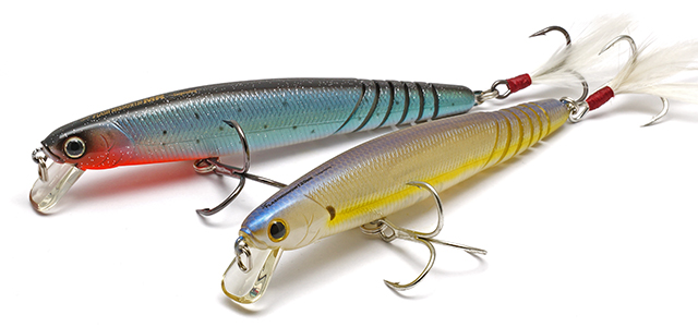 Live Flash Minnow -  -    