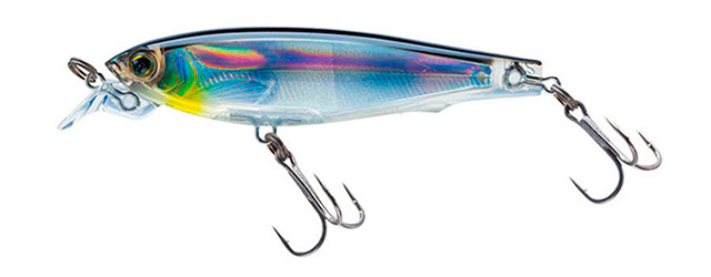 minnow-640.jpg minnow-640.jpg