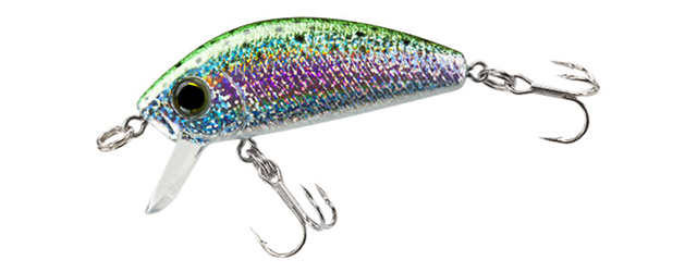 l-minnow-640.jpg l-minnow-640.jpg